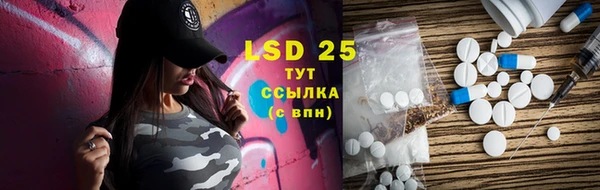 ПСИЛОЦИБИНОВЫЕ ГРИБЫ Новозыбков
