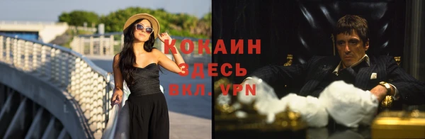 дурь Арсеньев